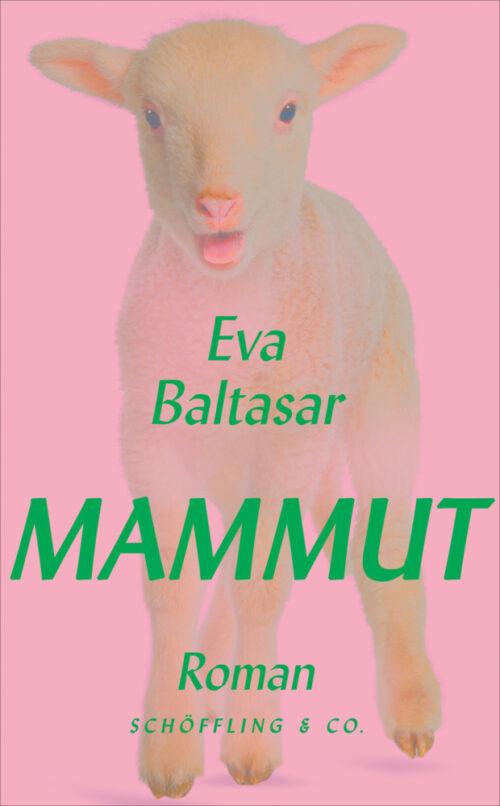 <span style='color: #3c3c3c;'>Eva Baltasar</span> <br><span style='font-style: italic; font-weight: bold;'>Mammut</span>
