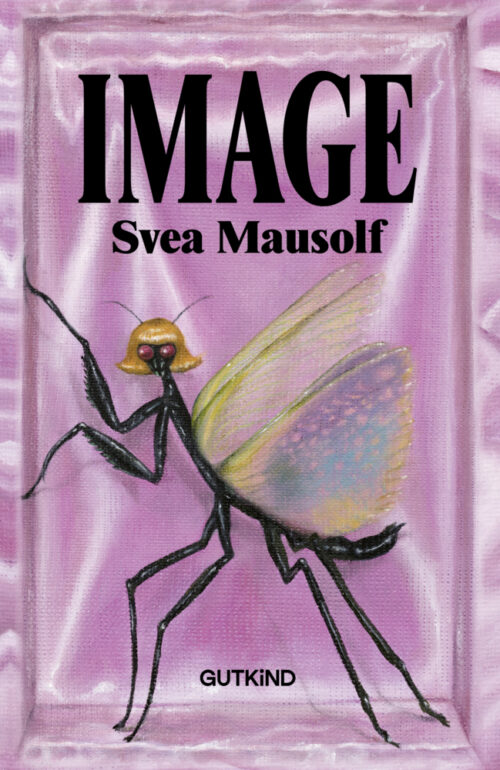 <span style='color: #3c3c3c;'>Svea Mausolf</span> <br><span style='font-style: italic; font-weight: bold;'>Image</span>