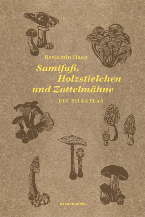 <span style='color: #3c3c3c;'>Benjamin Haag</span> <br><span style='font-style: italic; font-weight: bold;'>Samtfuß, Holzstielchen und Zottelmähne</span>