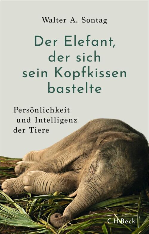 <span style='color: #3c3c3c;'>Walter A. Sontag</span> <br><span style='font-style: italic; font-weight: bold;'>Der Elefant, der sich sein Kopfkissen bastelte</span>