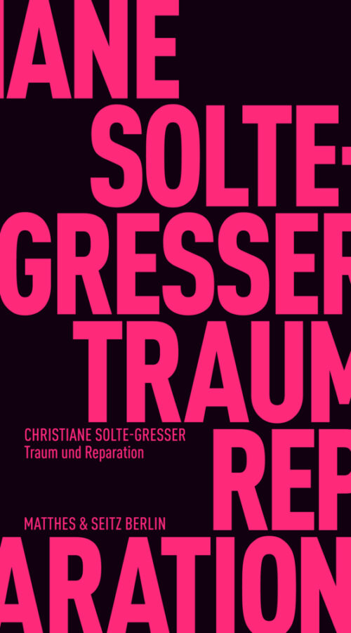 <span style='color: #3c3c3c;'>Christiane Solte-Gresser</span> <br><span style='font-style: italic; font-weight: bold;'>Traum und Reparation</span>