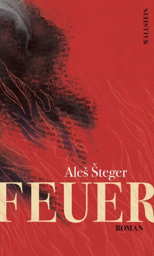 <span style='color: #3c3c3c;'>Ales Steger</span> <br><span style='font-style: italic; font-weight: bold;'>Feuer</span>